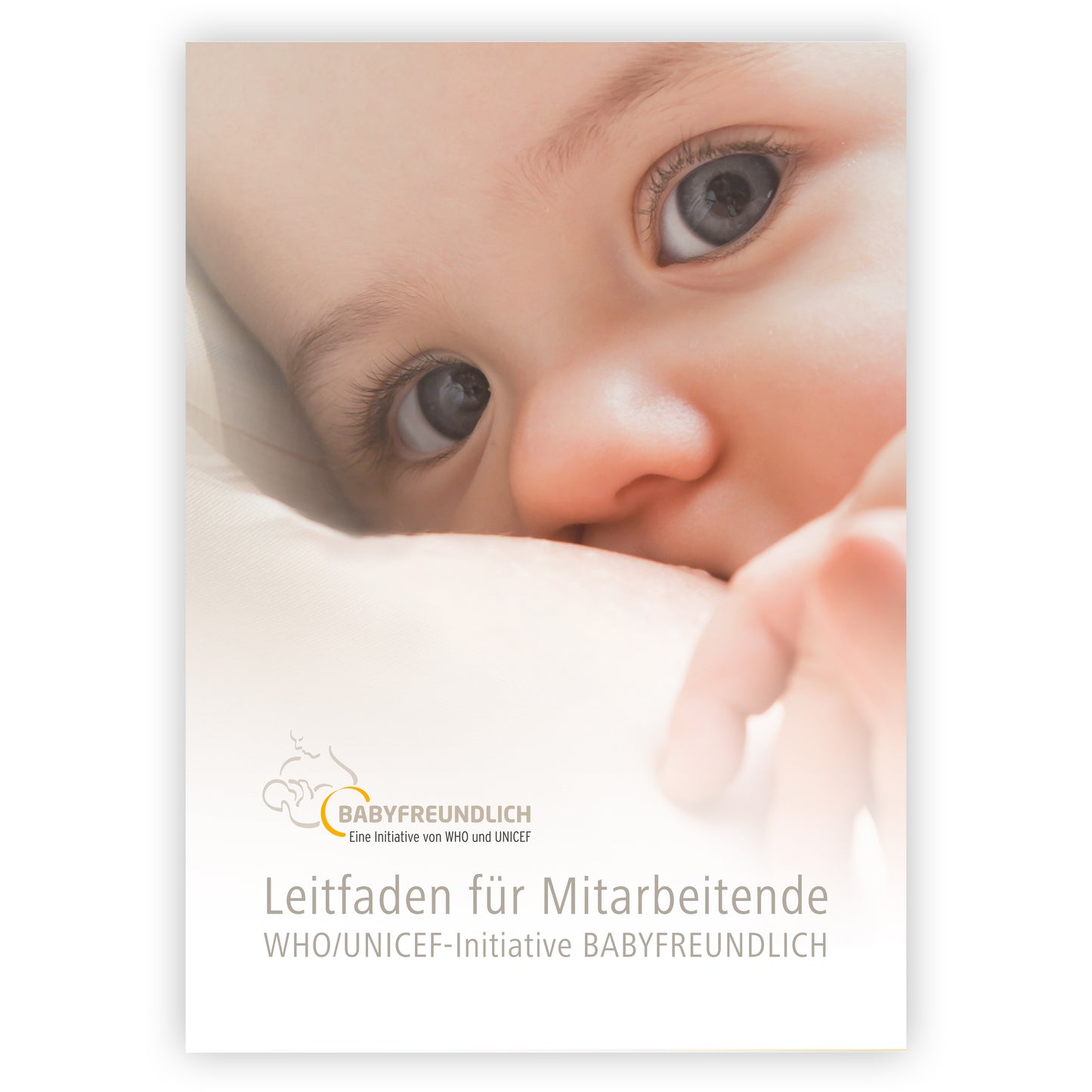 Leitfaden für Mitarbeitende
